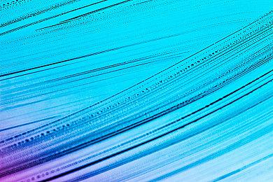 《死啮》日版再次宣布跳票 英文版明年登陆PC平台